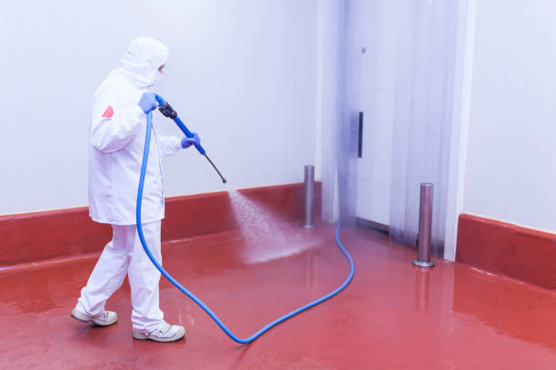 Best Paint Preparation  in Glenn Heights, TX